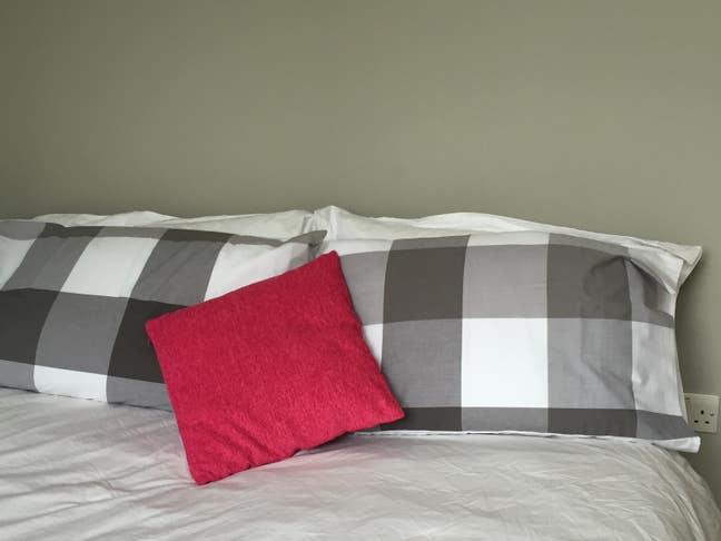 Lovely comfortable flat near tube. W4.  Main Photo