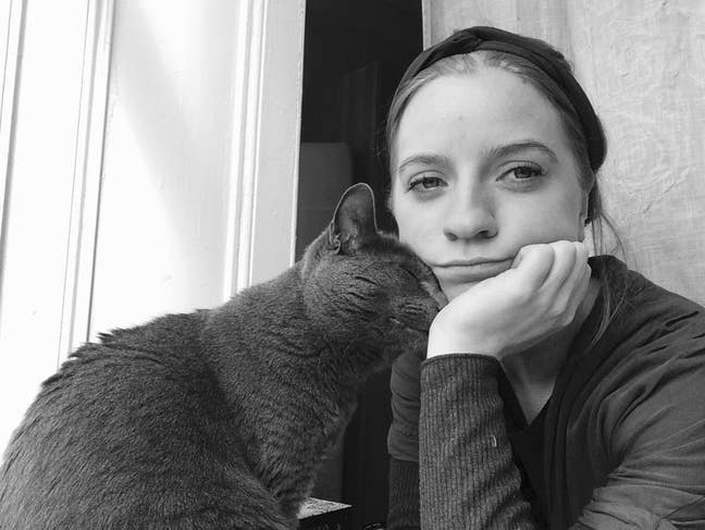 Looking for long term let (open to short) Main Photo