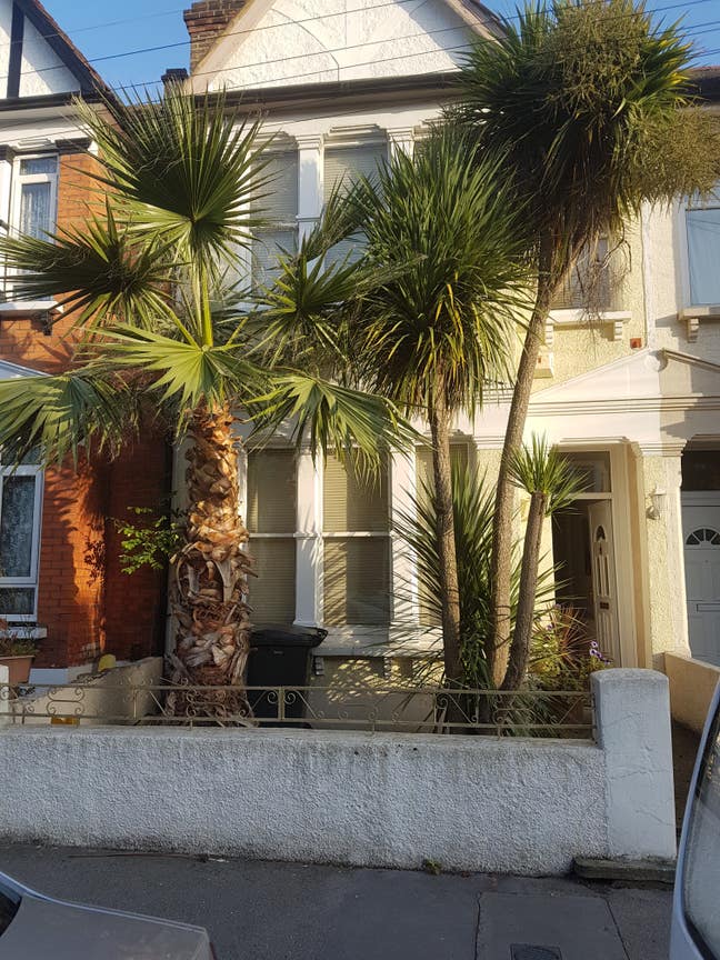 Beautiful room to  rent.. recently renovatesd..  Main Photo