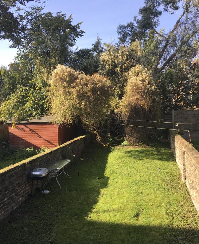 Finsbury Park. Double room for a girl. Main Photo