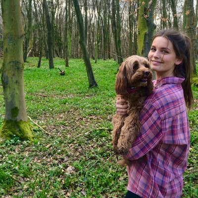 Looking for friendly home in SE London :) Main Photo
