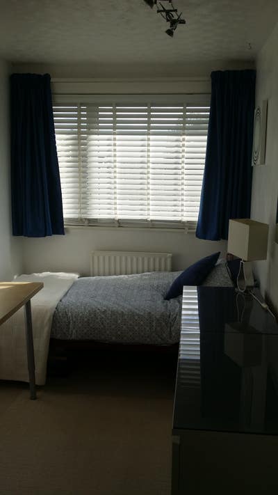 Single, bright room, decent size  Main Photo
