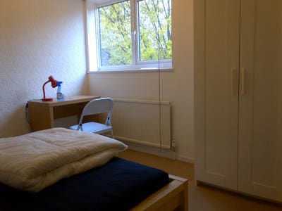  1 Room available in friendly international house Main Photo