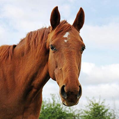 Looking for room for august Main Photo