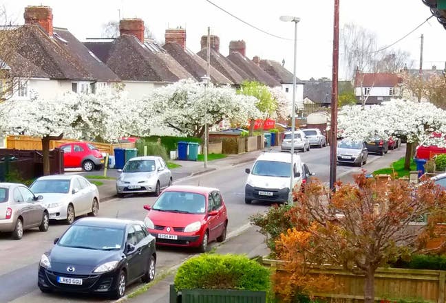 Wolvercote home, quiet, (eco) friendly housemate  Main Photo