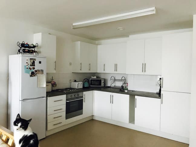 Central London, short term let:room in lovely flat Main Photo