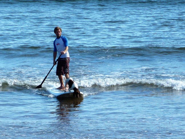 Environment scientist and watersports instructor  Main Photo