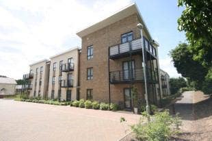 Spacious apartment share Main Photo