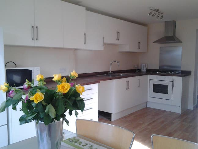 Huge studio sized room, Pets Considered Main Photo