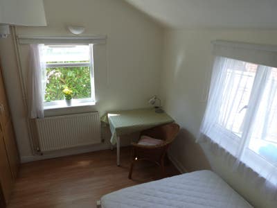 Bright large room in annexe sharing with one other Main Photo