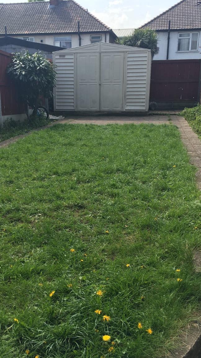 Mrs Khatija budi  Main Photo