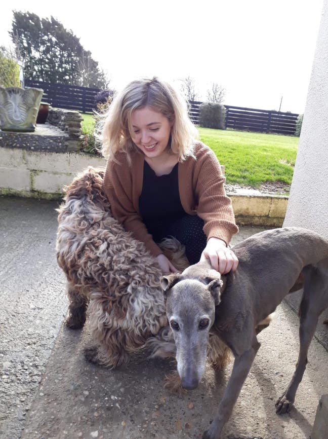 Seeking Friendly Flat Main Photo