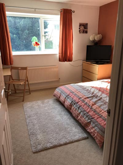Sunny double room with garden view .Mon-Fri let  Main Photo