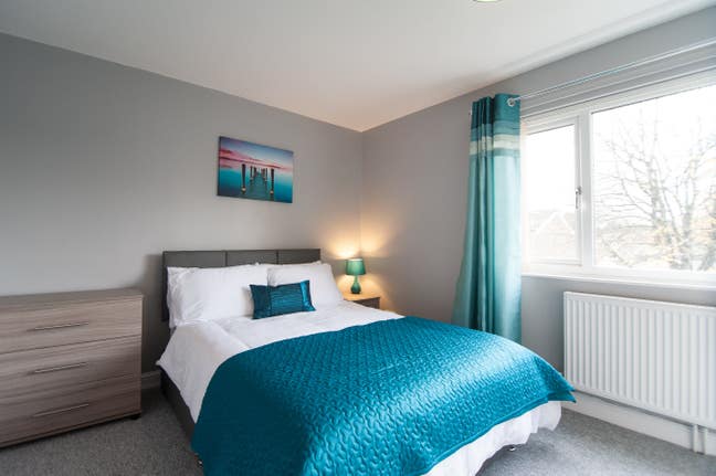 Professional House Share Main Photo