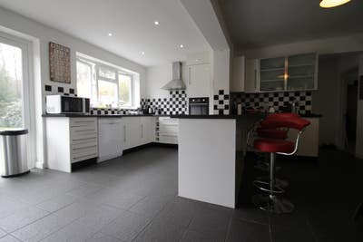 Spacious room available now! Main Photo