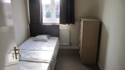 Single room to let Main Photo