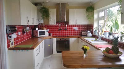 Double or Single Bedroom both with Ensuite Shower Main Photo