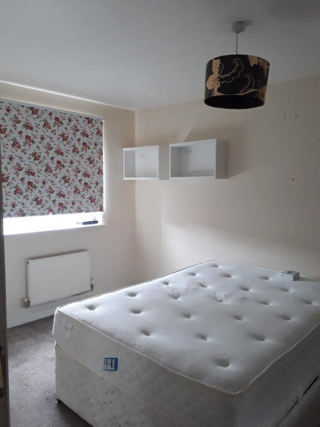 Female Preferred , All Bills Included ,Excellent Main Photo