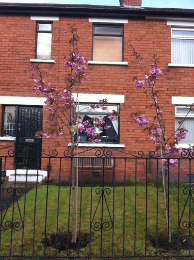 Room available, female professional preferred Main Photo