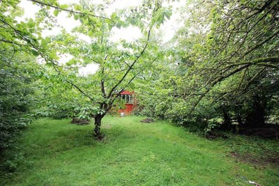 Peaceful  Home with Orchard Garden  Main Photo