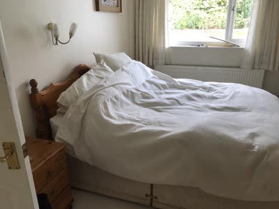 Sunny, spacious double bedroom, bills included  Main Photo