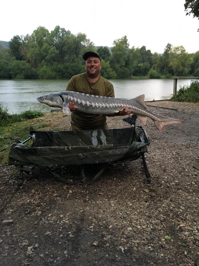 single  professional male  Main Photo