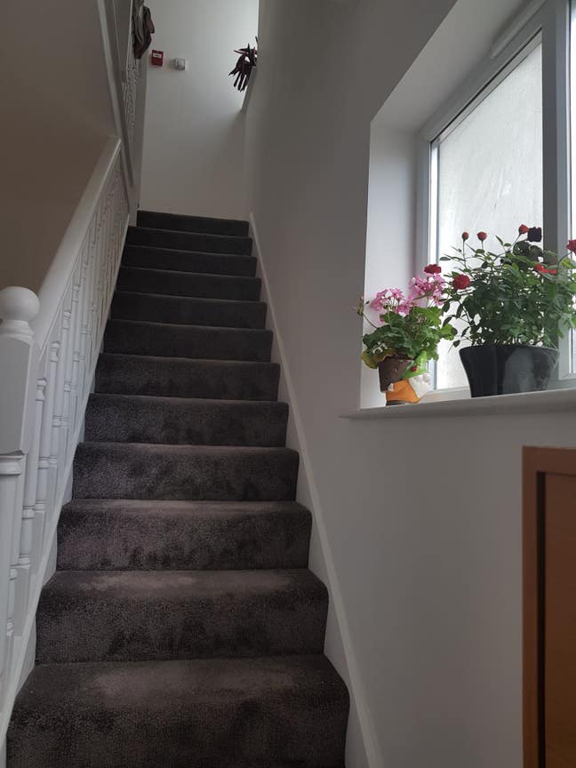 A Double Room To Let-Hounslow East-Near Tube St Main Photo