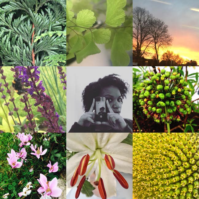 looking for a quite house share  Main Photo