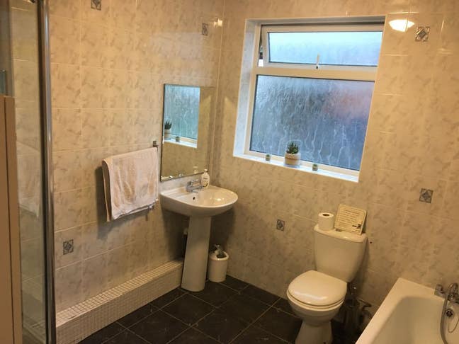      FEMALE O Single     Room        to        Let Main Photo