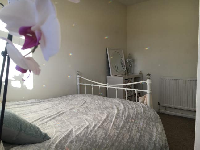 Double Bedroom in lovely 4 bedroom house.  Main Photo