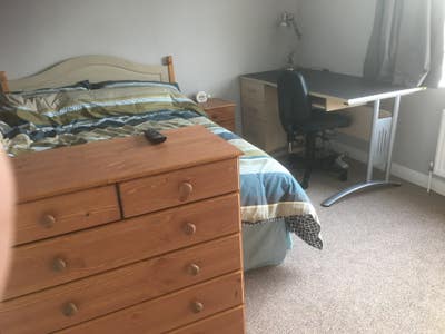 Large double en-suite room in quiet house Main Photo