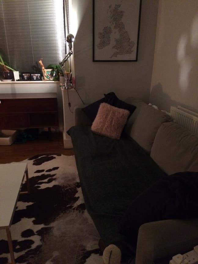 Double Room in Friendly House Available January Main Photo