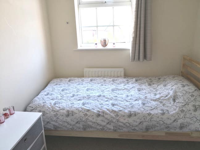Single room in Canton. All bills included. Main Photo