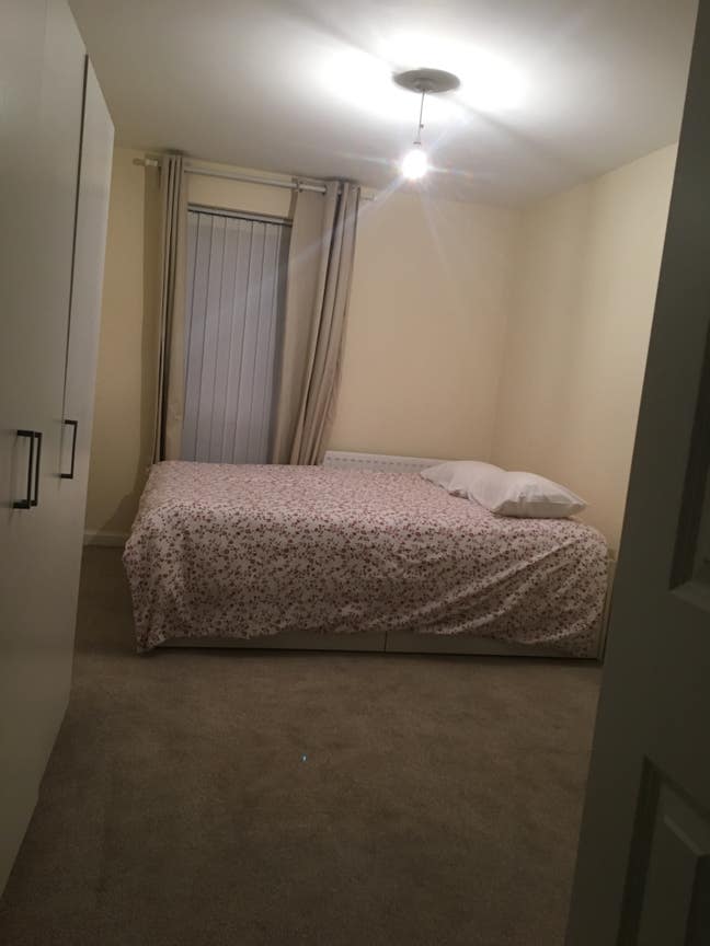 Room for Rent in Two Bedroom Flat Cranbrook  Main Photo