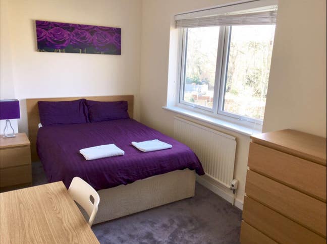 Sunny Double Room Over the Park Main Photo