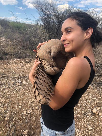 Lodger looking for quiet, peaceful home w/1 person Main Photo