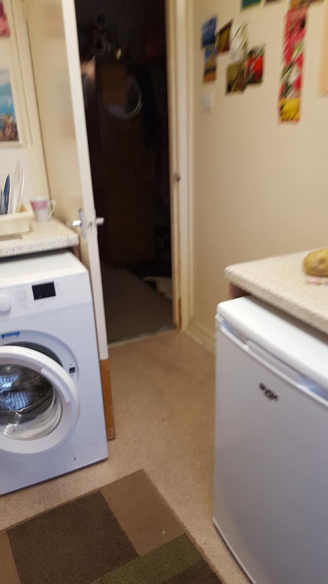Single room for rent, north London Main Photo