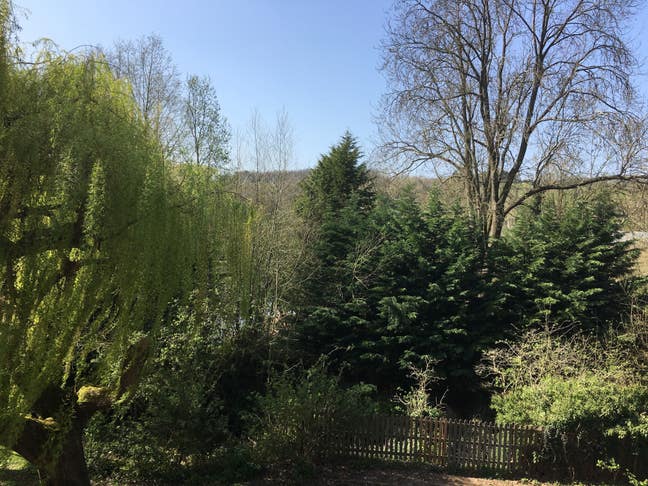 Dual level, 2 bed apartment with green views Main Photo