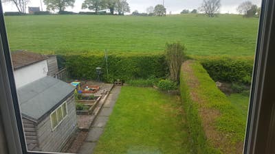 Room for Rent Main Photo