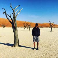 Young and fun professional looking for a place  Main Photo