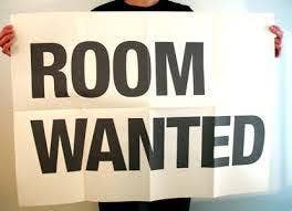 Room Wanted- 6th July 2026 Main Photo
