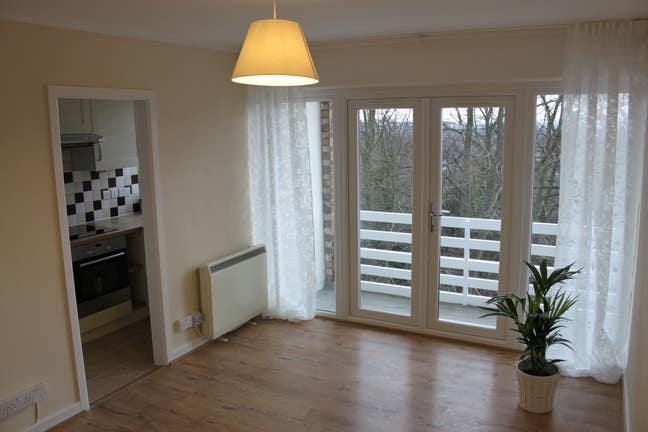 Spacious & Bright Studio! Main Photo