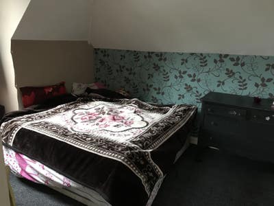 Large double room  Main Photo