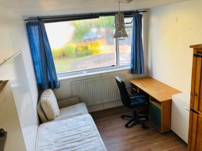 A Large and a Medium size single room available Main Photo