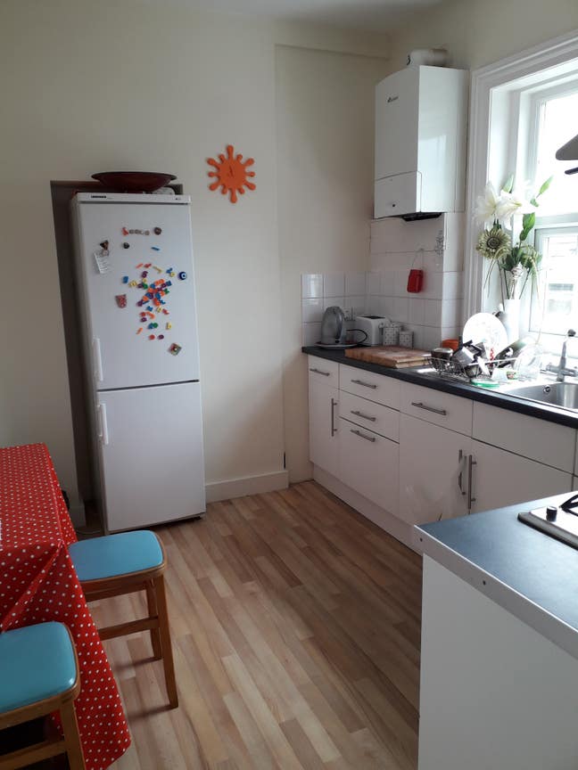 Huge room for veggie professional woman Main Photo