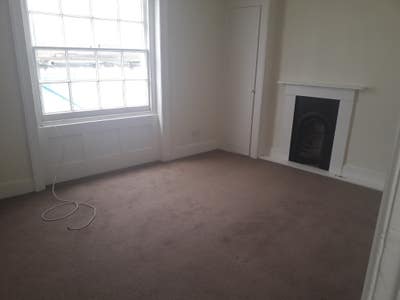 Huge room for veggie professional woman Main Photo