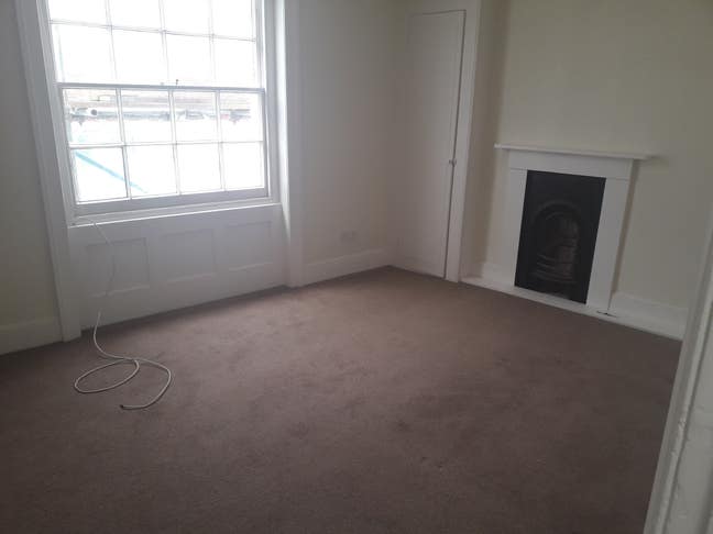 Huge room for veggie professional woman Main Photo