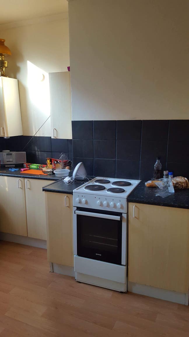 Room for rent. Live in landlord.  Main Photo