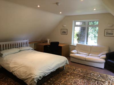 Large Bed Sitting Room in Private Annexe Main Photo
