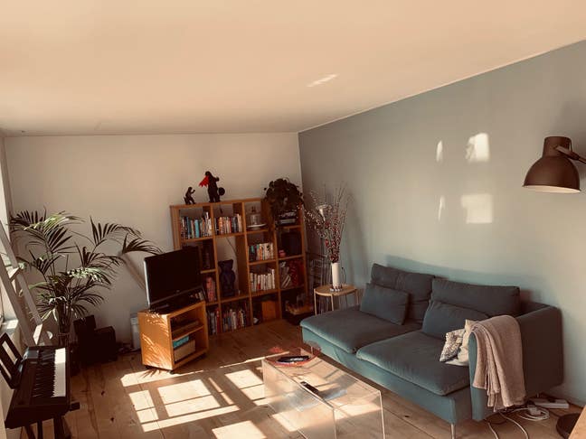 A spacious room in a lovely 3 Bedroom flat Main Photo